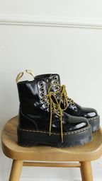 Bota