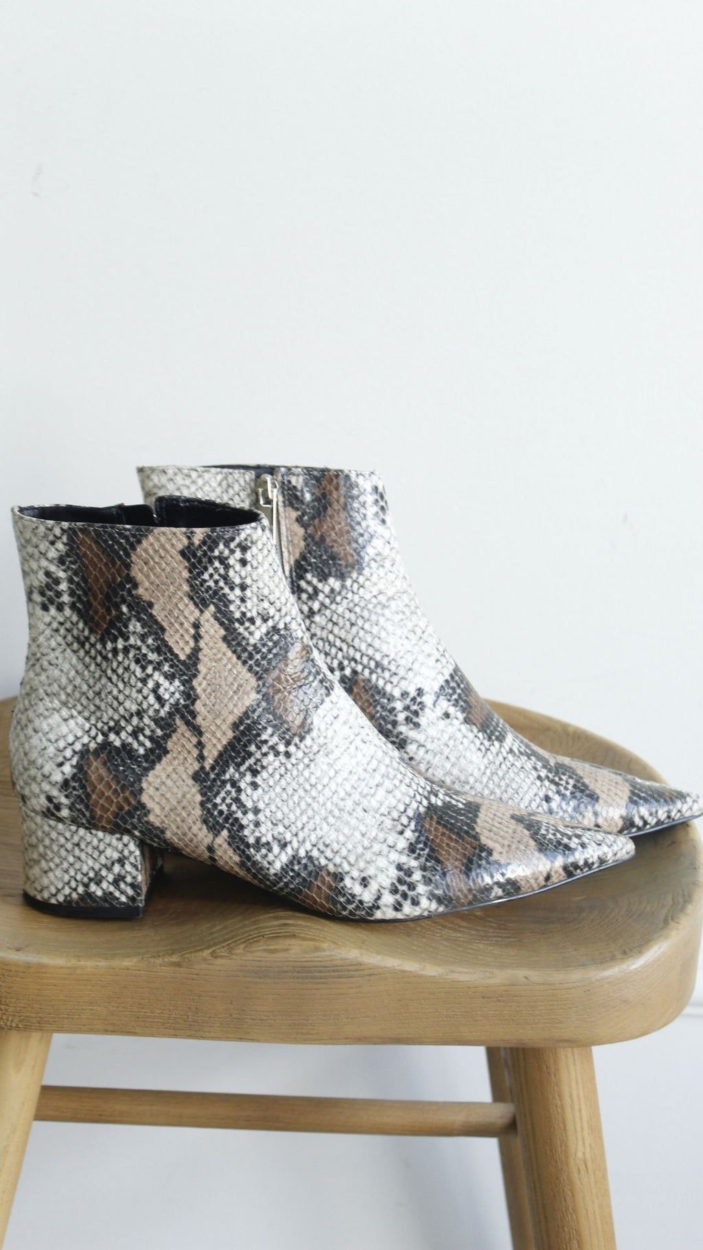Bota
