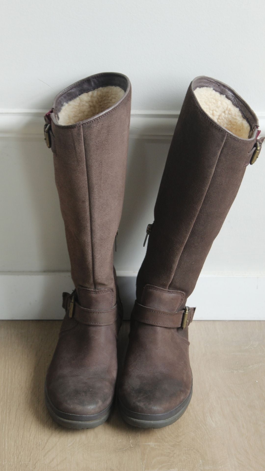 Bota