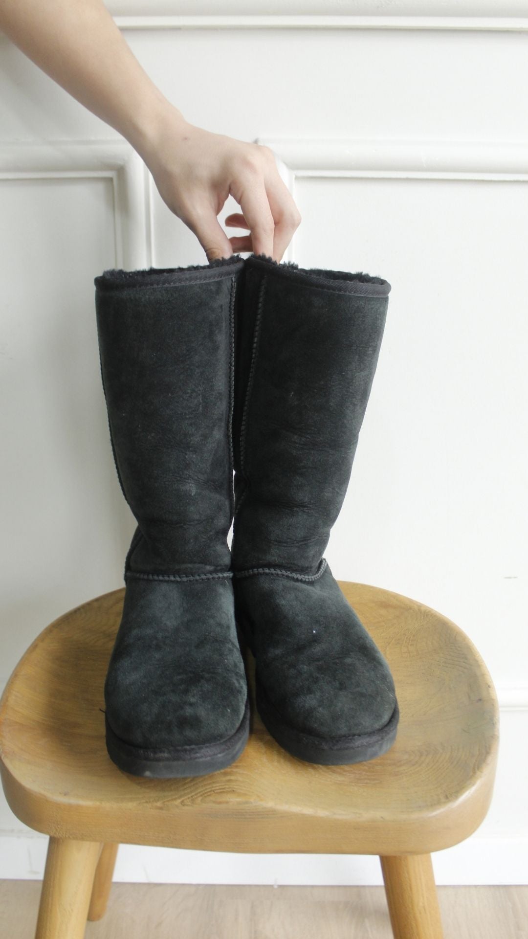 Bota
