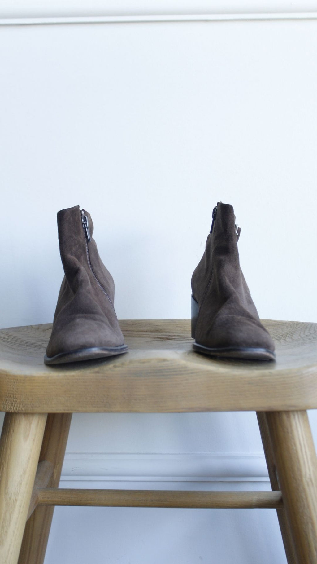 Bota