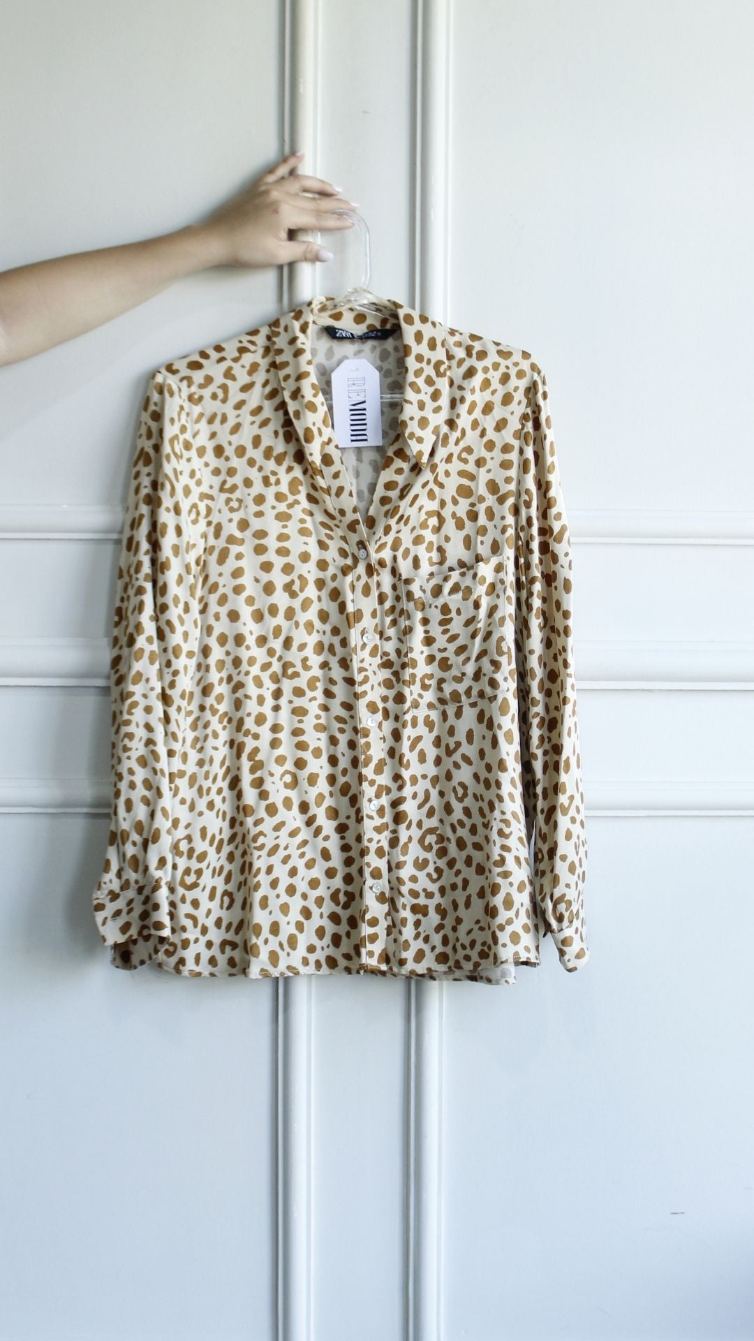 Camisa