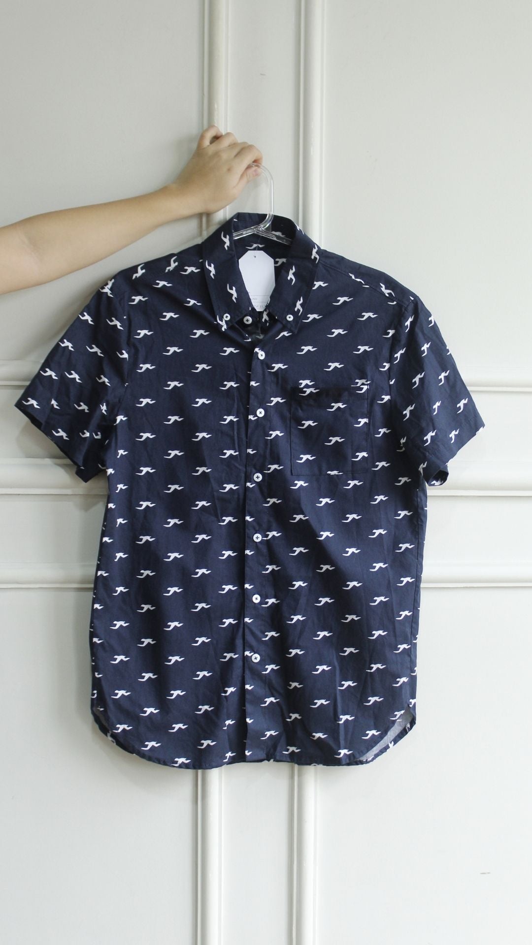 Camisa