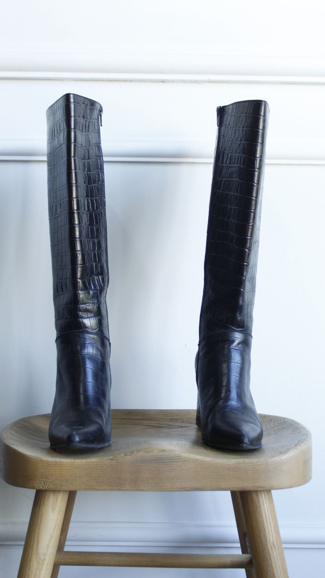 Bota