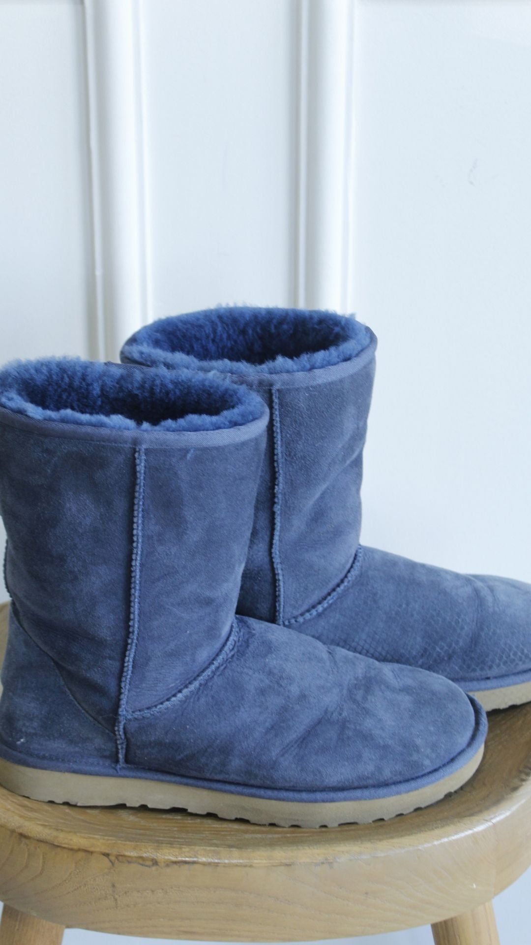 Bota