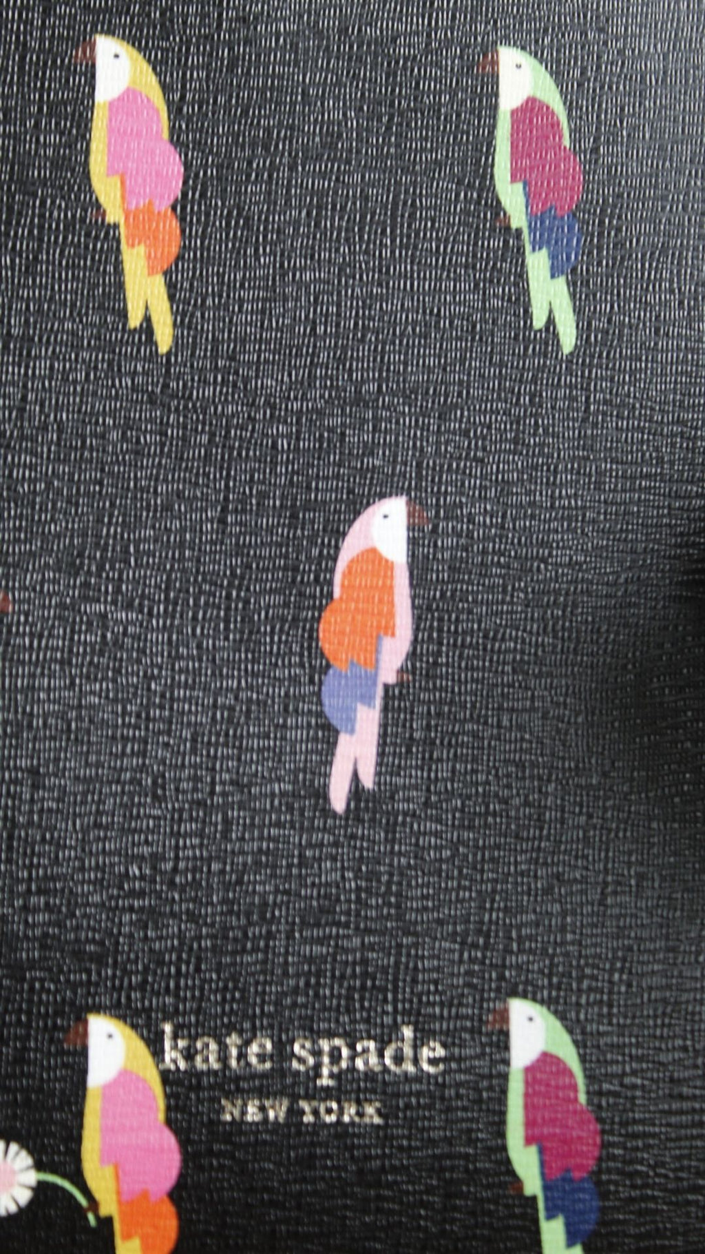 Cartera