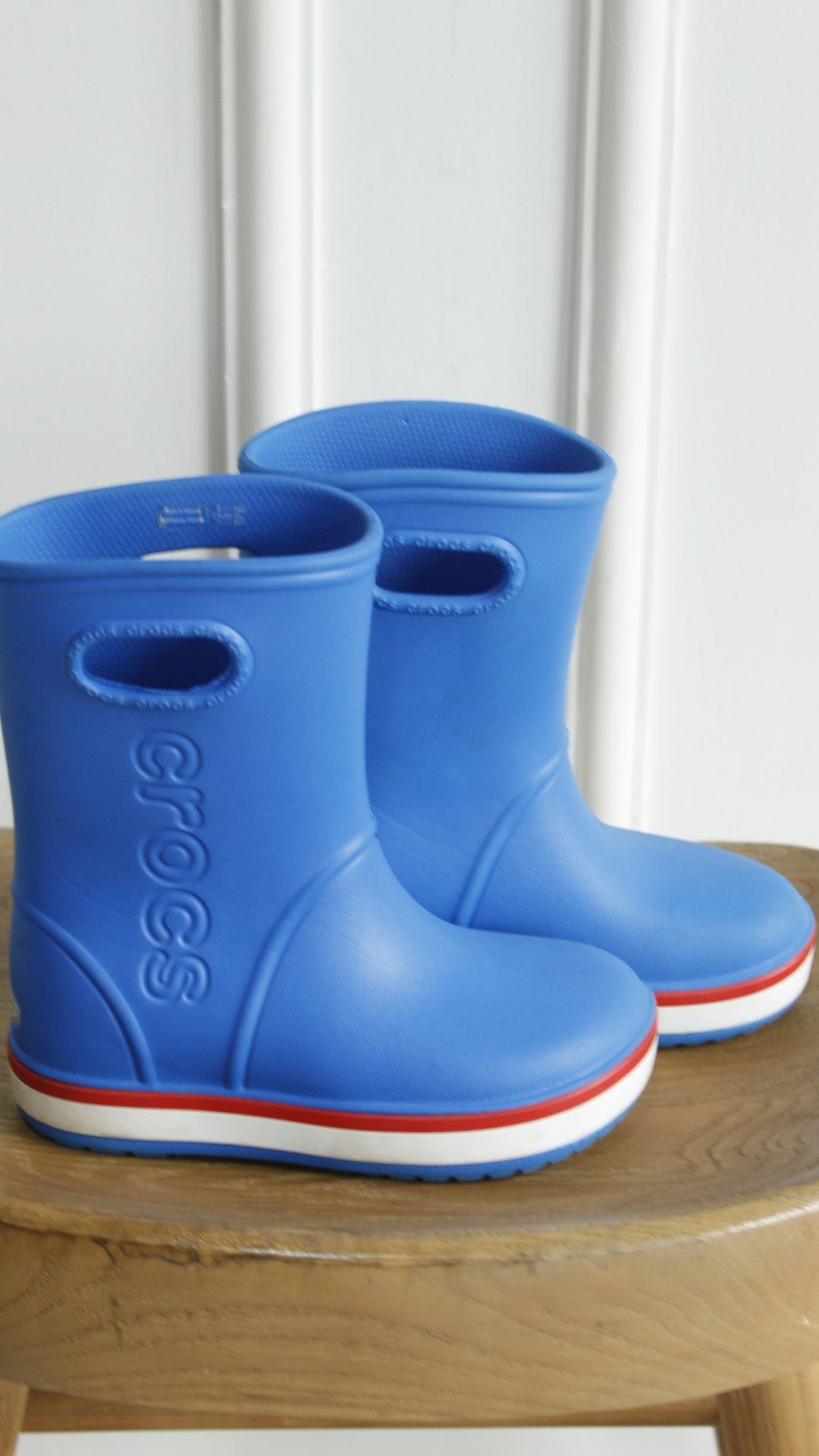Bota