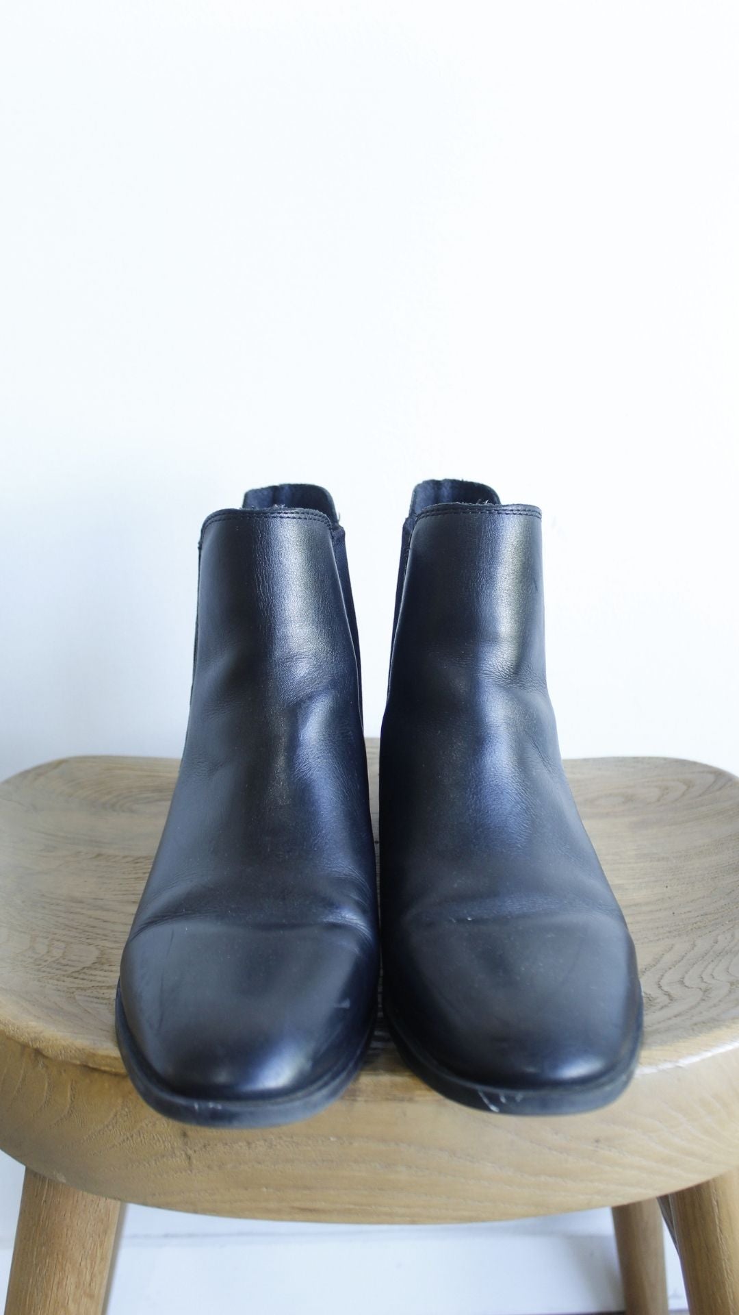 Bota