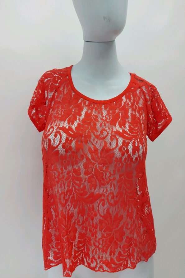 Blusa
