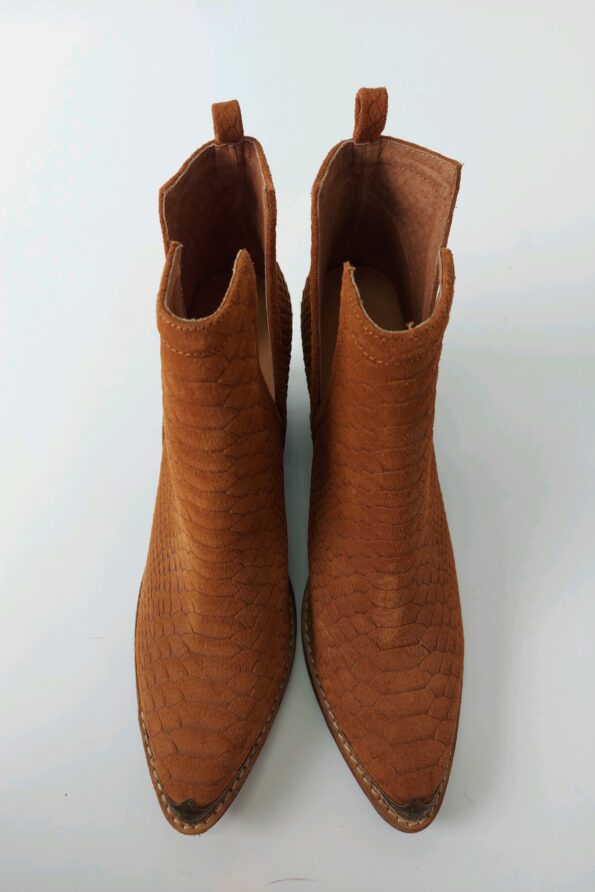 Bota