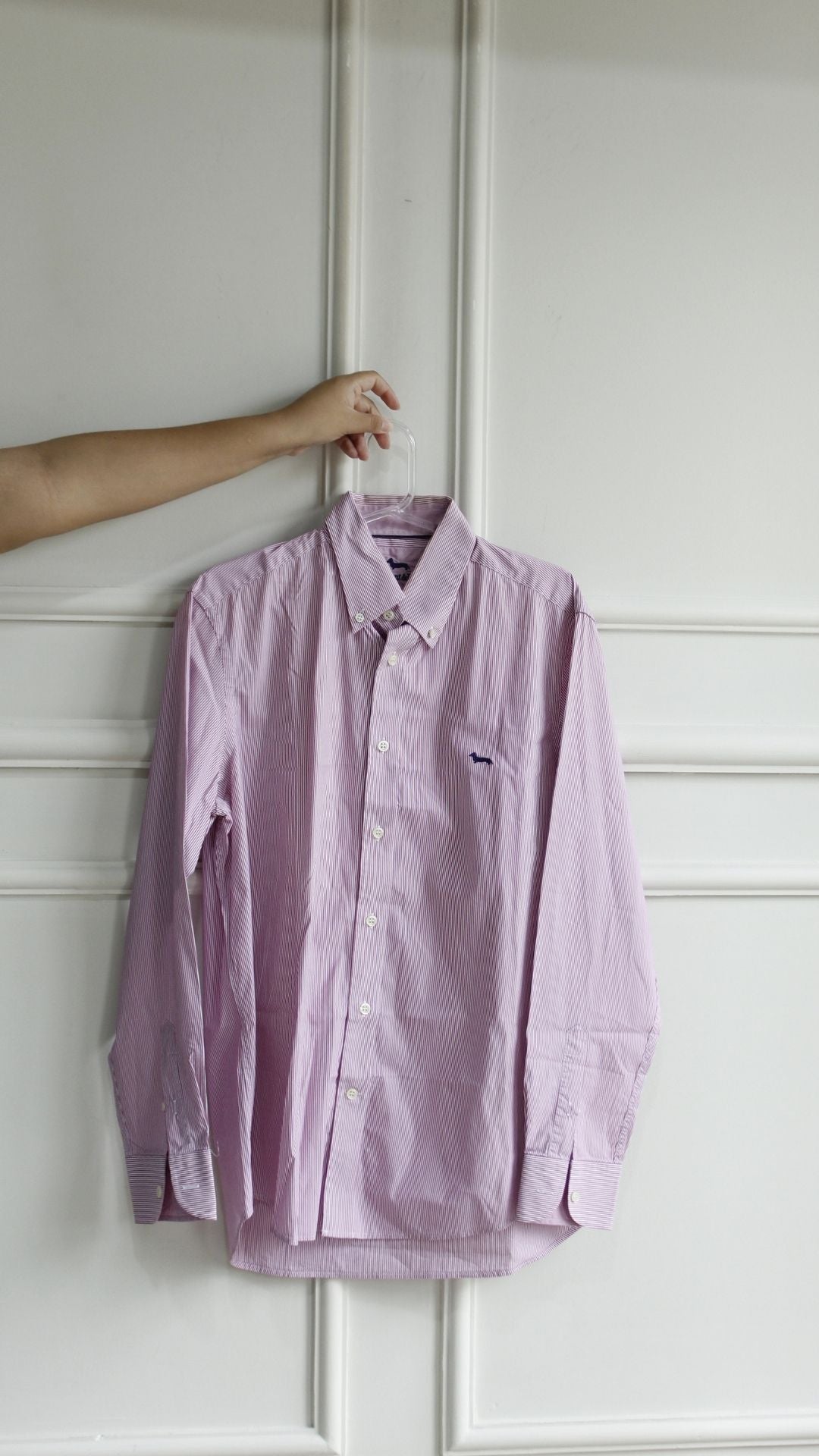 Camisa