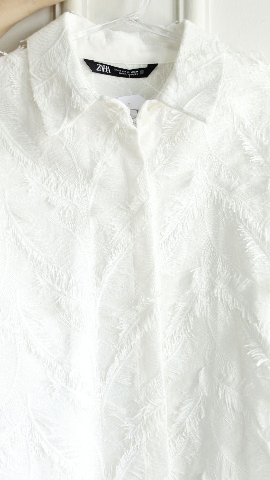 Camisa