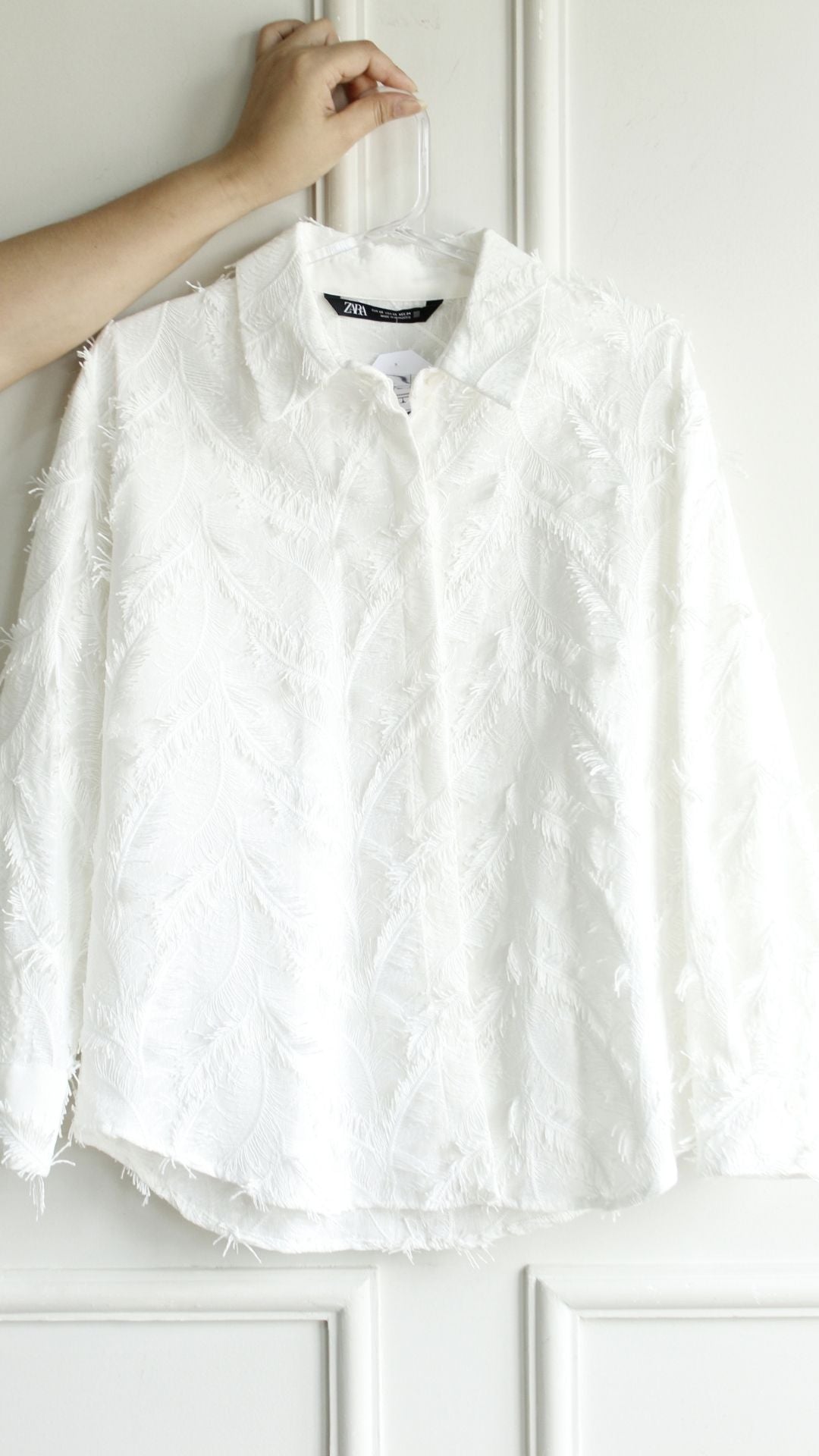 Camisa