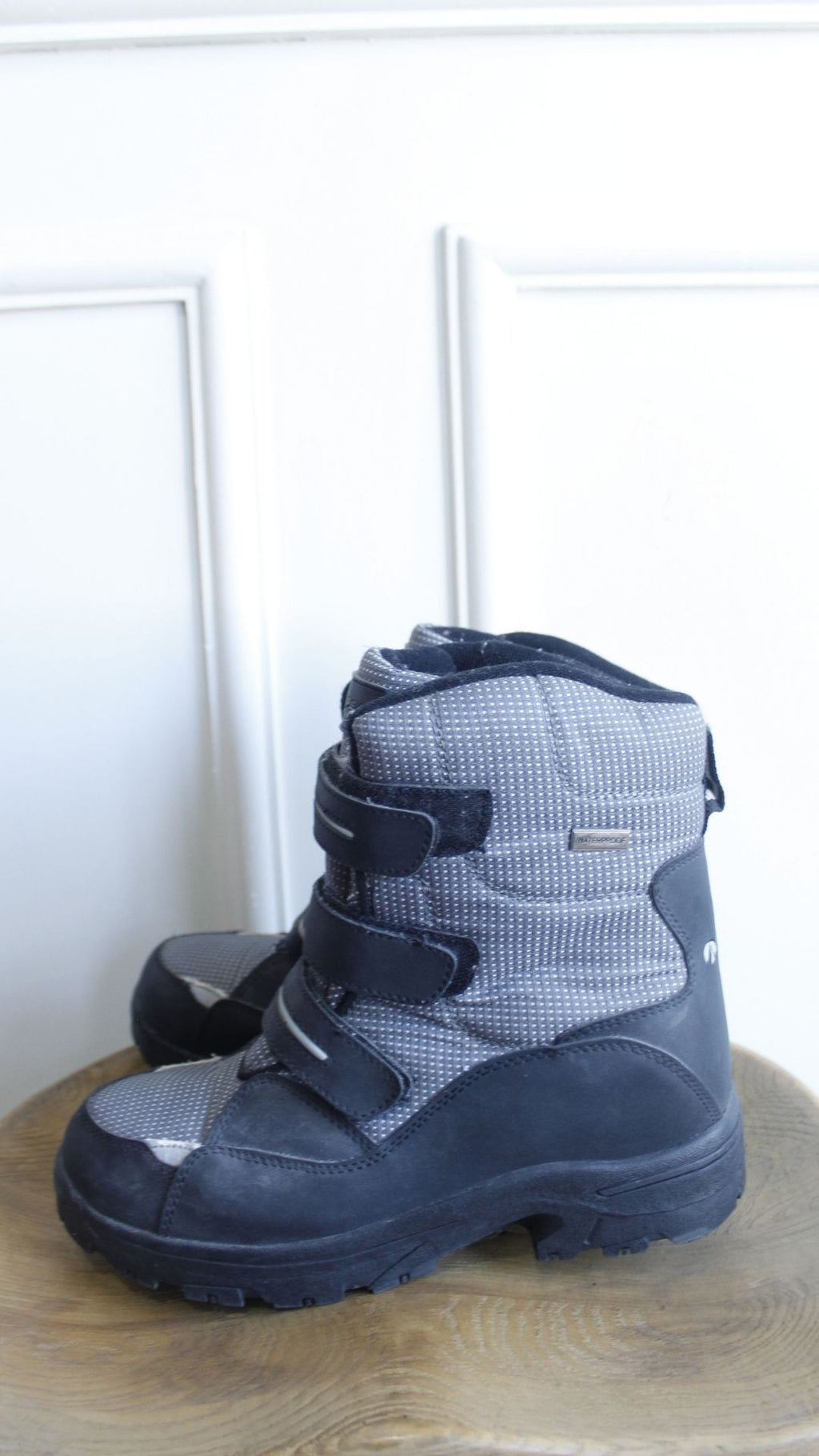 Bota
