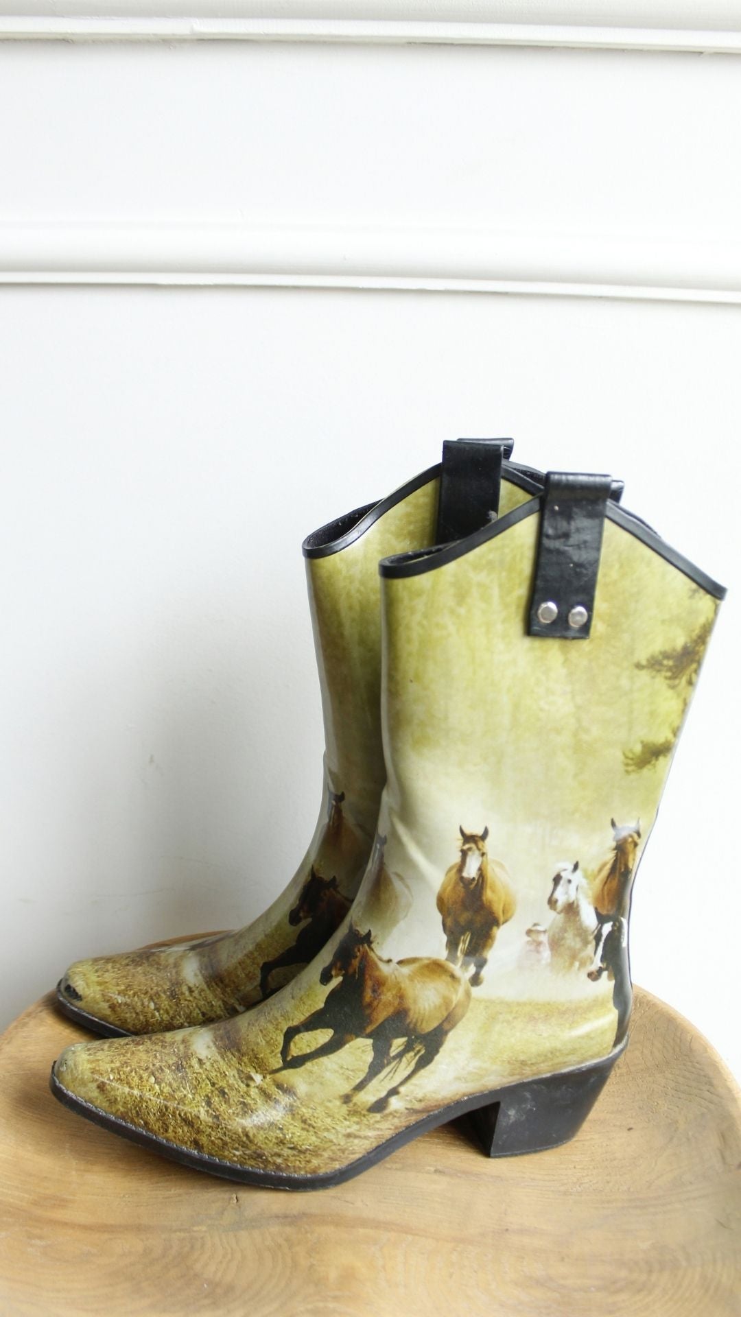 Bota