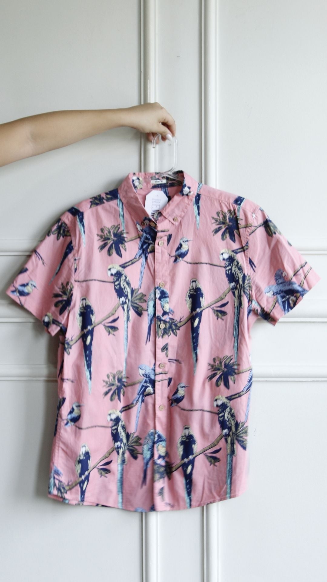 Camisa