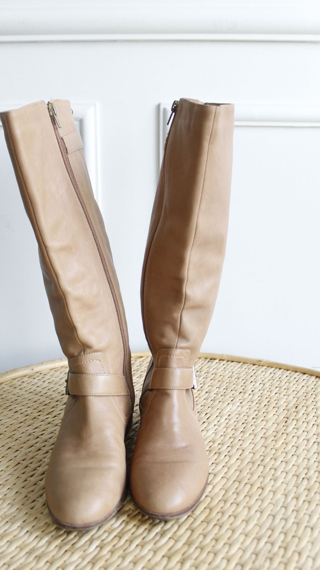 Bota