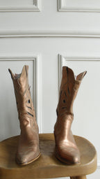 Bota