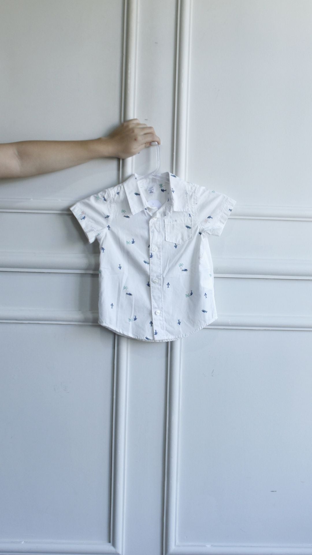 Camisa
