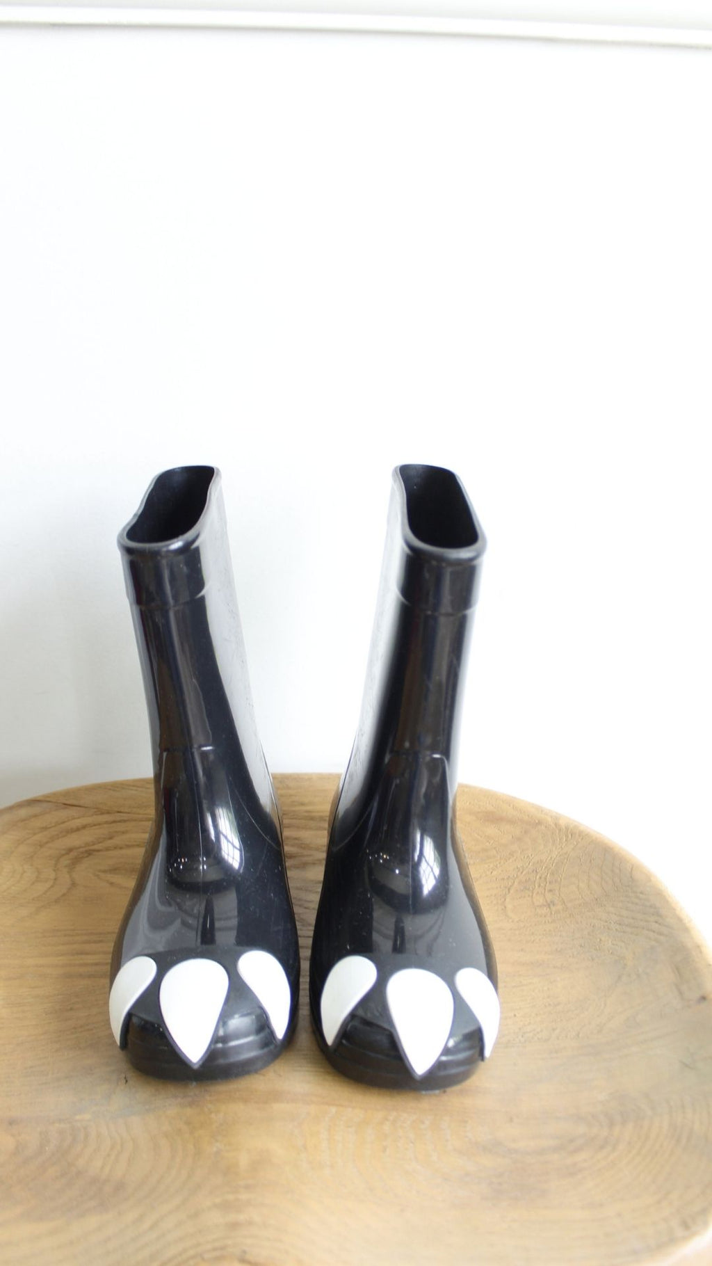 Bota
