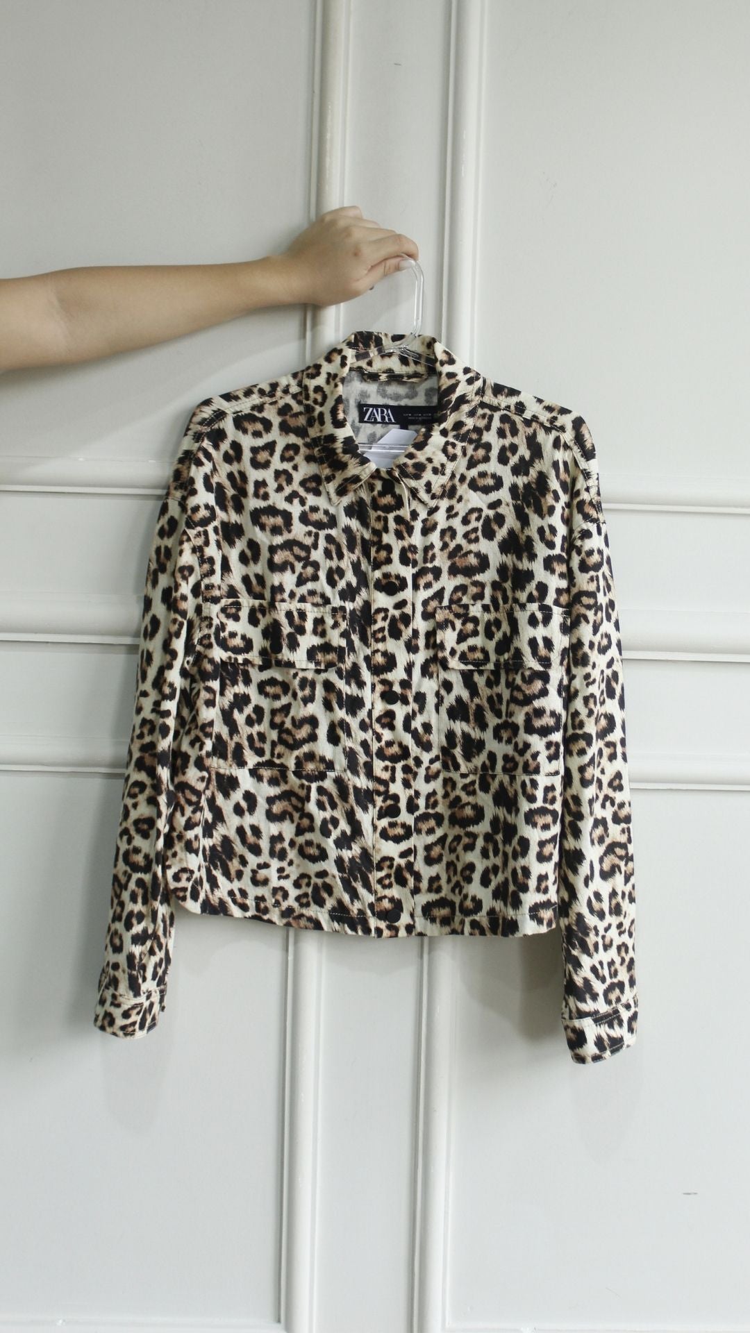 Camisa