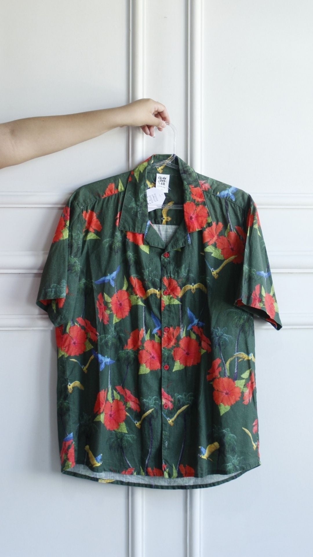 Camisa